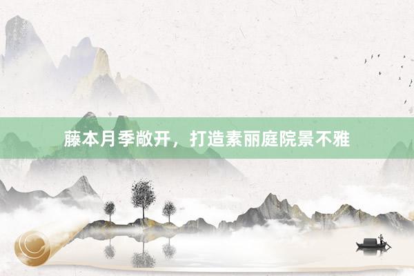 藤本月季敞开，打造素丽庭院景不雅