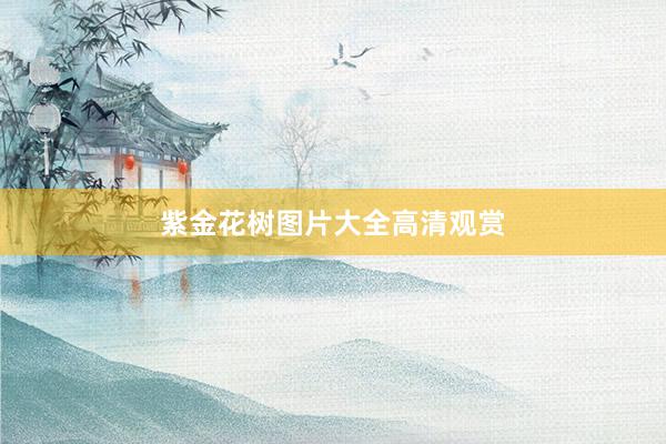 紫金花树图片大全高清观赏
