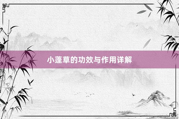 小蓬草的功效与作用详解