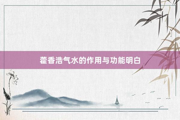 藿香浩气水的作用与功能明白